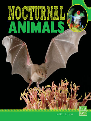 cover image of Nocturnal Animals